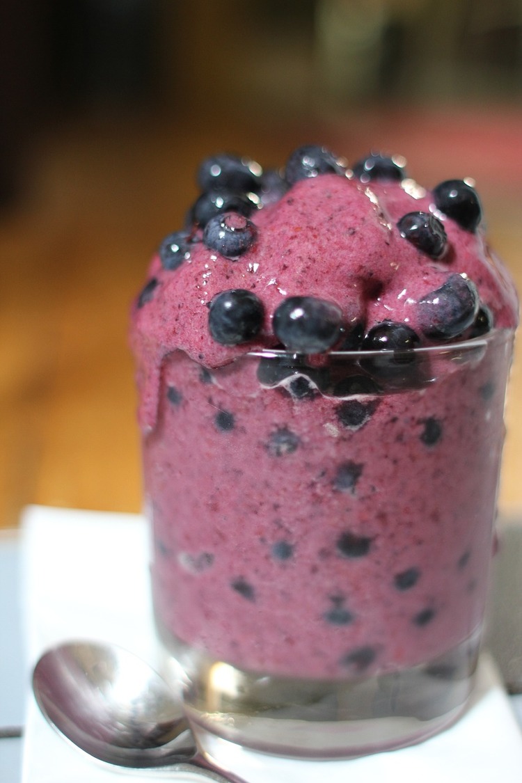 Frozen Blueberry Smoothie Recipe